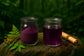 Nightshade-Black Cherry, Lime Shadow