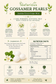Gossamer Pearls – Green Grape Jasmine Tea Mints - JULY Release