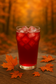 FireGlow- Cranberry,Orange,Spice